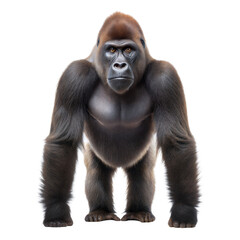Obraz premium Cross River Gorilla AI Generated Image