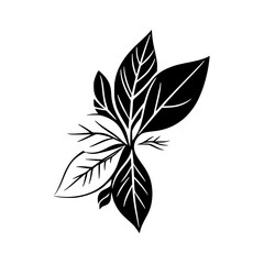 Stylized Leaf Illustration: Black and White with detailed vein pattern.
