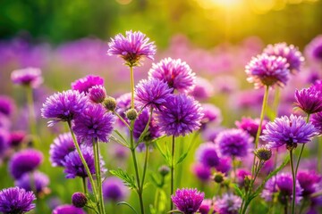 Fototapeta premium Vibrant purple wildflowers burst forth, sharply focused against a spring green backdrop.