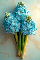 On a light marble background, a close-up highlights three vibrant purple hyacinths paired with green stems