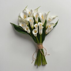 "A neatly tied bundle of white calla lilies arranged simply on a pure white background."