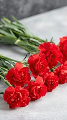 Fresh red carnations arranged beautifully on a gray surface with green stems visible, creating an eye-catching floral display for any occasion