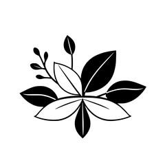 Black and White Floral Silhouette: Minimalist illustration of leaves and blossoms, highlighting the plant's beauty.