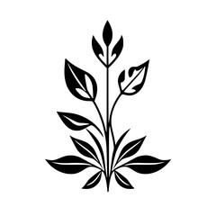 Black and white stylized plant stem with leaves, minimalist, symmetrical, floral, and decorative design against white background.