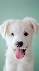 Fototapeta premium Adorable white puppy with big eyes and tongue out, set against a soft pastel background, radiating joy and sweetness.