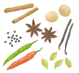 スパイスのイラスト
