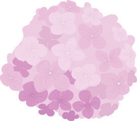 Hydrangea Flowers Hand Drawn