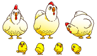 Cute Chickens