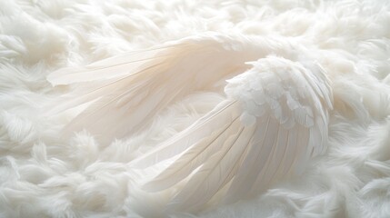 Obraz premium Serene Wings: A Dreamlike Vision of Purity and Peace