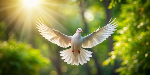 Majestic Dove in Flight, Soft Bokeh Background, Peaceful Nature Scene