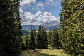 Discovering the breathtaking landscapes of the Dolomites in Italy’s Alps while hiking through lush forested trails