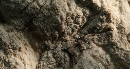Dark Rocky Surface with Shadows and Rough Texture