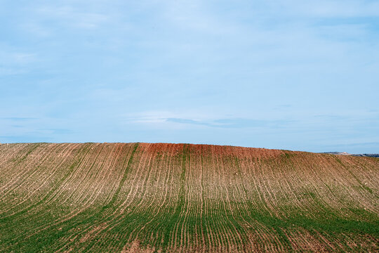 Rolling farmland under a vast blue sky, capturing the essence of rural agriculture and open landscapes.