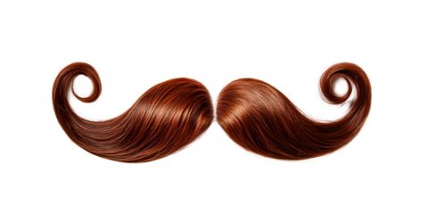 Majestic chestnut brown hair mustache curled at the ends, cut out, on white or transparent background