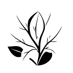 Abstract black and white illustration of a leaf branch with a clean, bold look.