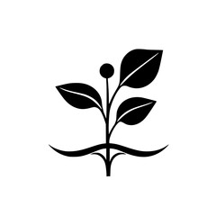 Black and white minimalist silhouette of a plant with leaves, the single stem leads to leaves.