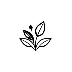 Black and White Floral Line Art