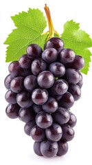 Fototapeta premium Captivating close up of a plump purple grape cluster with vibrant green leaf against a pristine white backdrop studio shot