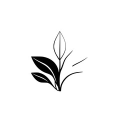 Black-and-White Leaf Arrangement with minimal details