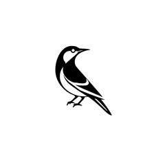 Monochromatic Bird Illustration: A Black and White Drawing of a Bird with Unique Markings.