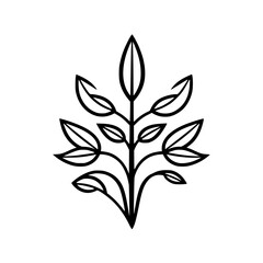 Botanical illustration of a plant with leaves and a linear black outline.