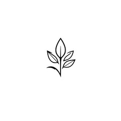 Minimalist black and white depiction of a stylized leaf, representing organic growth. A delicate, linear illustration.