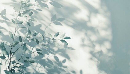 Soft light casts shadows of green leaves on a white wall.