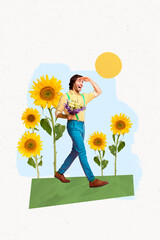 Poster photo vertical collage of happy dandy man carry chamomile flower bouquet bunch sunflower...