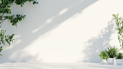 Obraz premium White wall photo, front view with green tree around it, lights and shadows, minimalist background