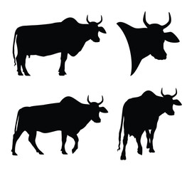 animal head portrait and walking and standing zebu cows - indian farm cattle black and white vector silhouette set
