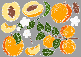 Set of color illustrations in hand draw style