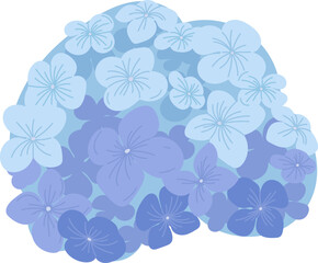 Hydrangea Flowers Hand Drawn