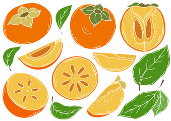 Set of color illustrations in hand draw style