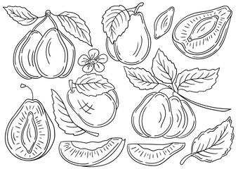 Set of color illustrations in hand draw style