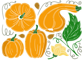 Set of color illustrations in hand draw style