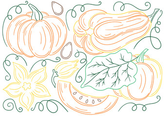 Naklejka premium Set of color illustrations in hand draw style