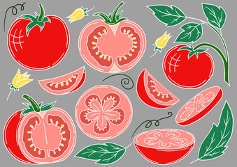 Set of color illustrations in hand draw style