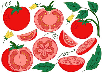 Set of color illustrations in hand draw style