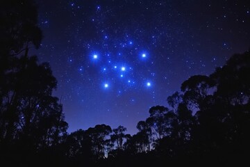 Fototapeta premium Enchanting nightscape with the Pleiades star cluster shining brightly above dark silhouetted trees under a deep blue sky