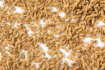 rice seeds wrapped in husks texture background.