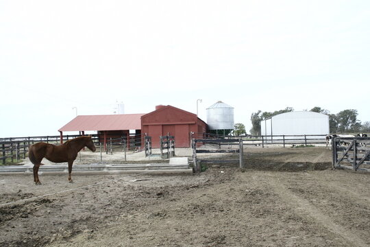Casa de campo en La Pampa Argentina, con el caballo en el corral y el tambo para orde&ntilde;ar, forma un dise&ntilde;o rural con fondo de el silo y el cielo nuboso.