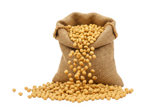 Soybeans in sack bag pour isolated on White background