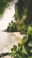 Sandy  forest and beach island meets lush greenery under soft warm lighting, creating a serene tropical environment.