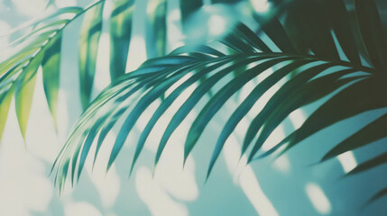 Tropical Greenery Creates a Dreamy Calm Atmosphere With Soft Warm Lighting in Natural Colors