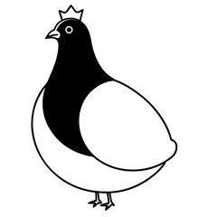 vector illustration of  birds