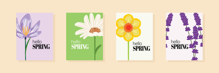Beautiful spring card templates featuring crocus, camomile, narcissus, and lavender flowers. Ideal for seasonal greetings