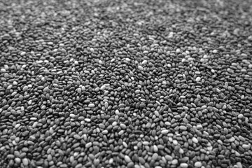 Raw soya beans background with blur effect close-up. Black and white
