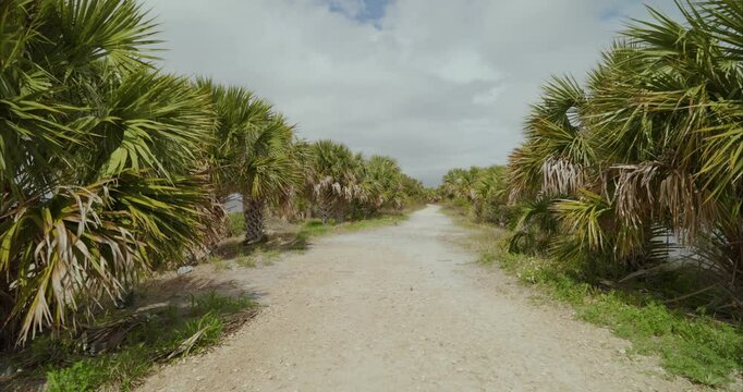 Static shot of a dirt road in Apalachicola Forrest in St Marks, Florida Panhandle. For projects requiring longer clips in higher resolution, visit StockPlates