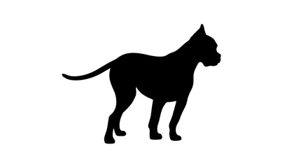 Obraz premium Silhouette of a dog standing