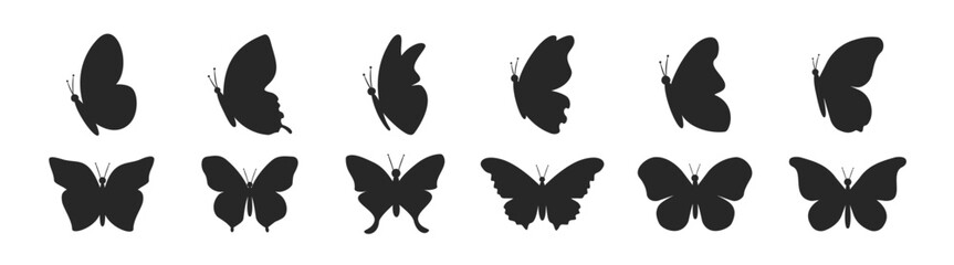 Collection of black butterflies. Butterfly silhouettes various butterfly species vector art illustration. Vector illustration